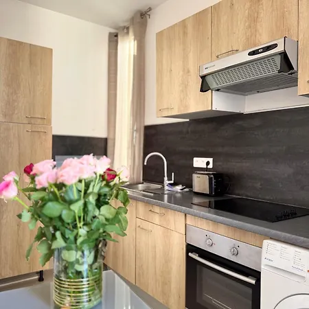 Les Lions Lägenhet Nice