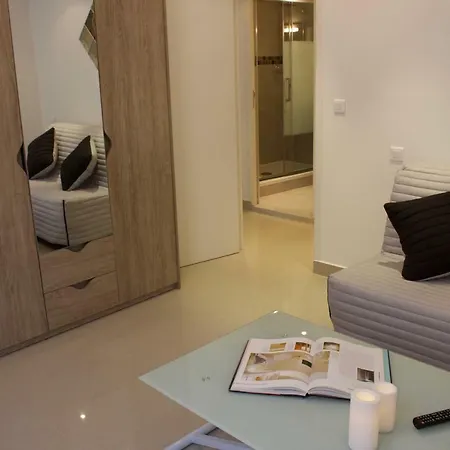 Apartment Les Lions *