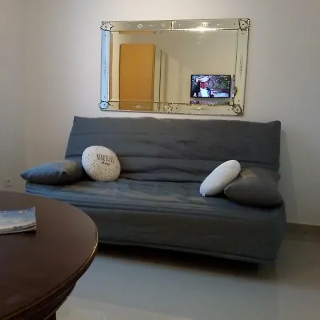 Les Lions Apartment Nice